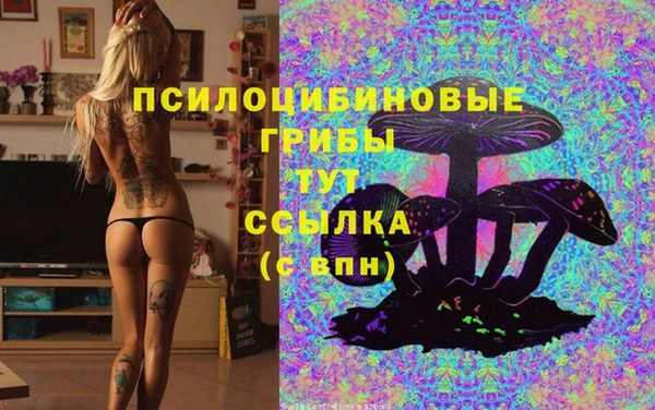 гидропоника Богородск