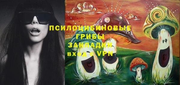 героин Богданович