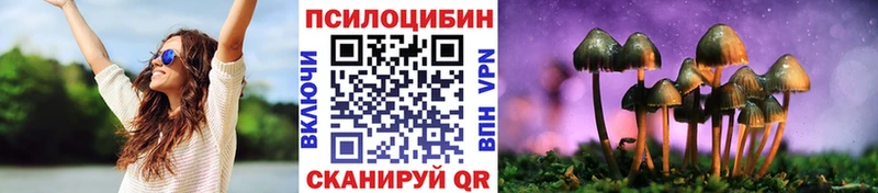 где купить наркоту  Балашиха  Галлюциногенные грибы Psilocybine cubensis 